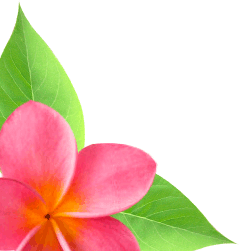 Marriage and Civil Celebrant Broome